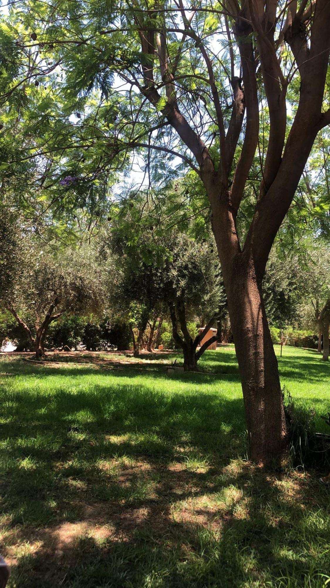 Palmeraie Village 2 - Cosi Appartement En Rez De Jardin Марракеш Екстер'єр фото